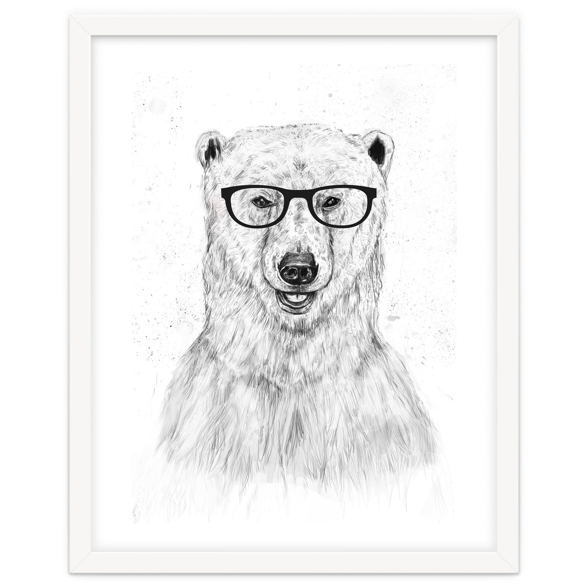 Geek Bear