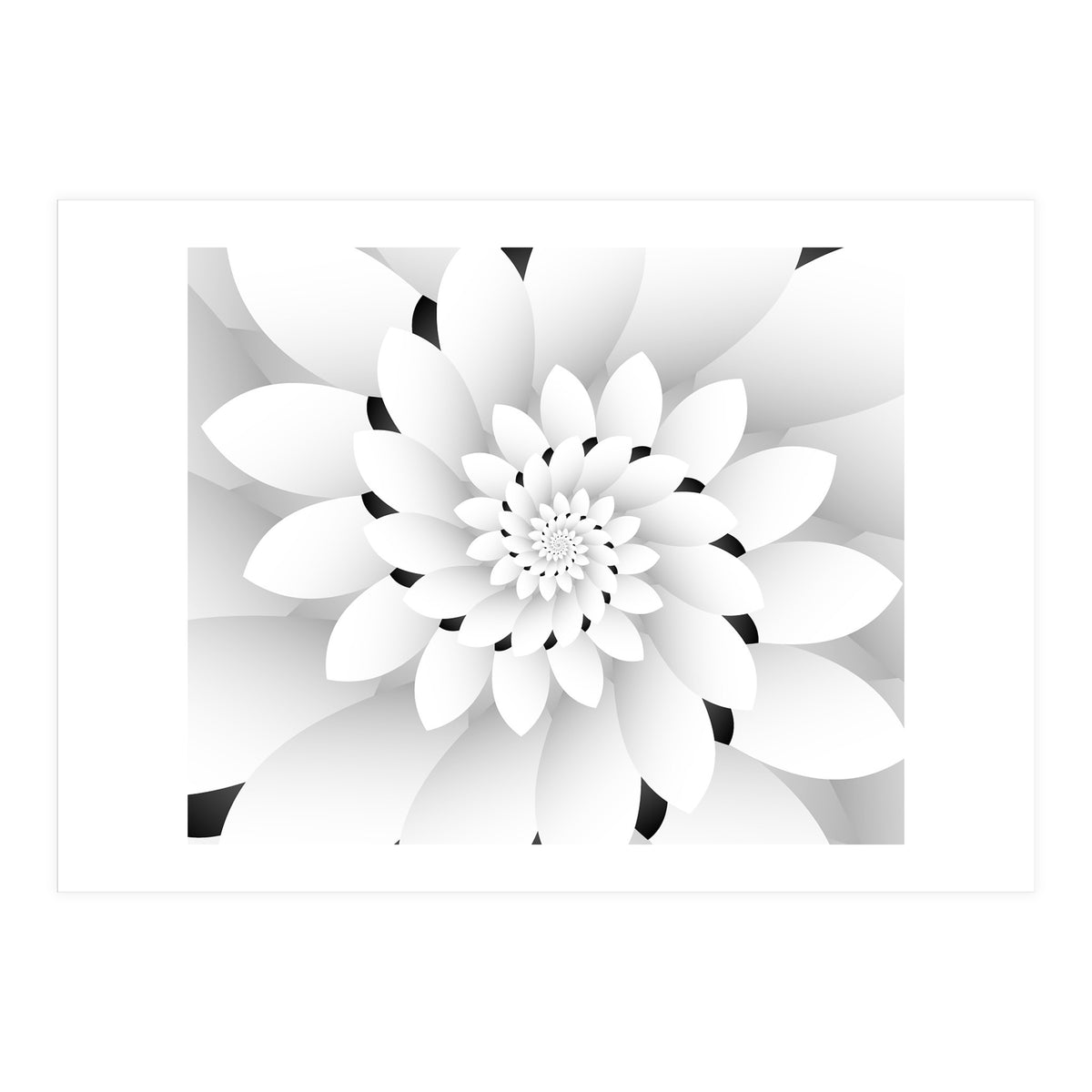Monochrome Floral Design  (Print Only)
