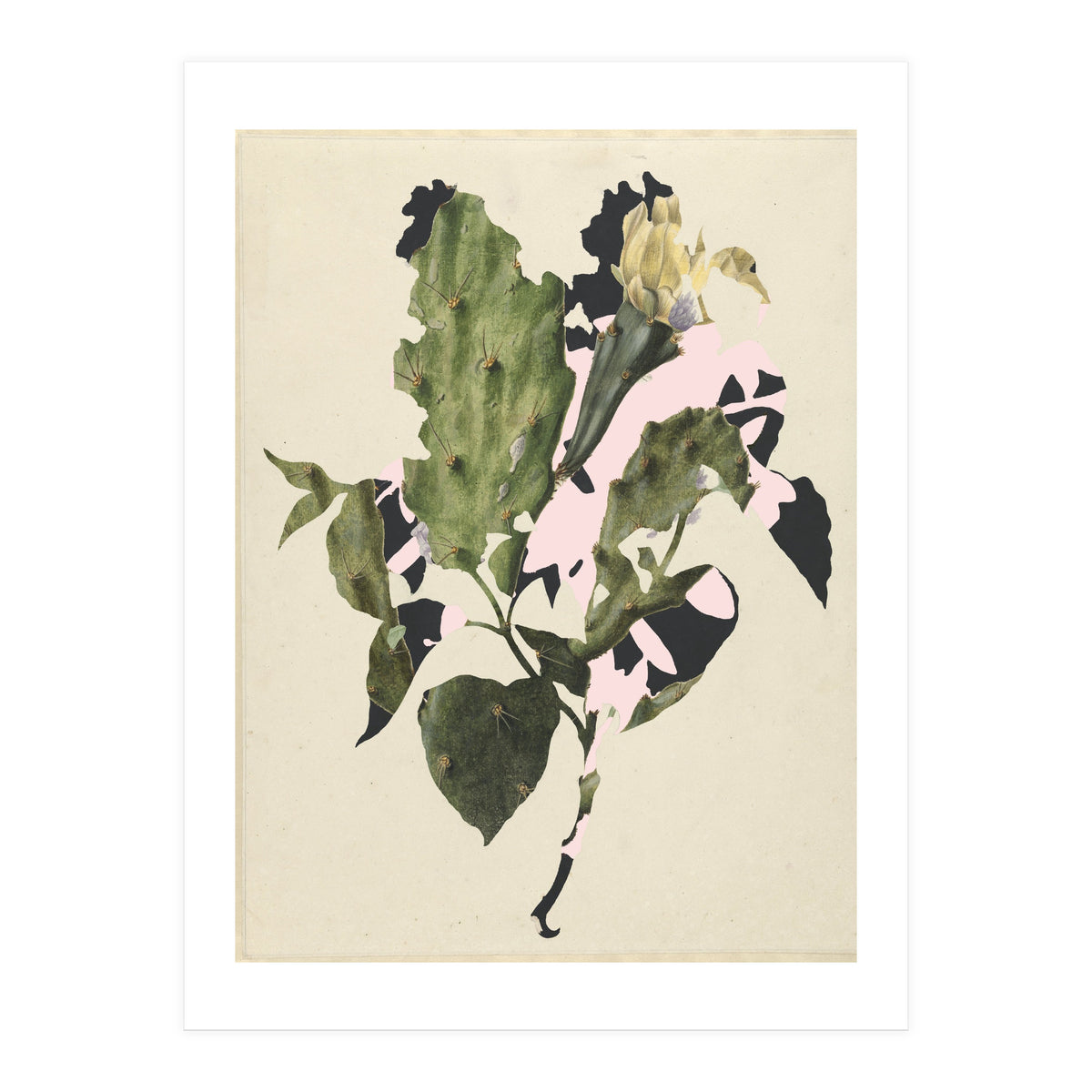 The First Plant · E3 (Print Only)