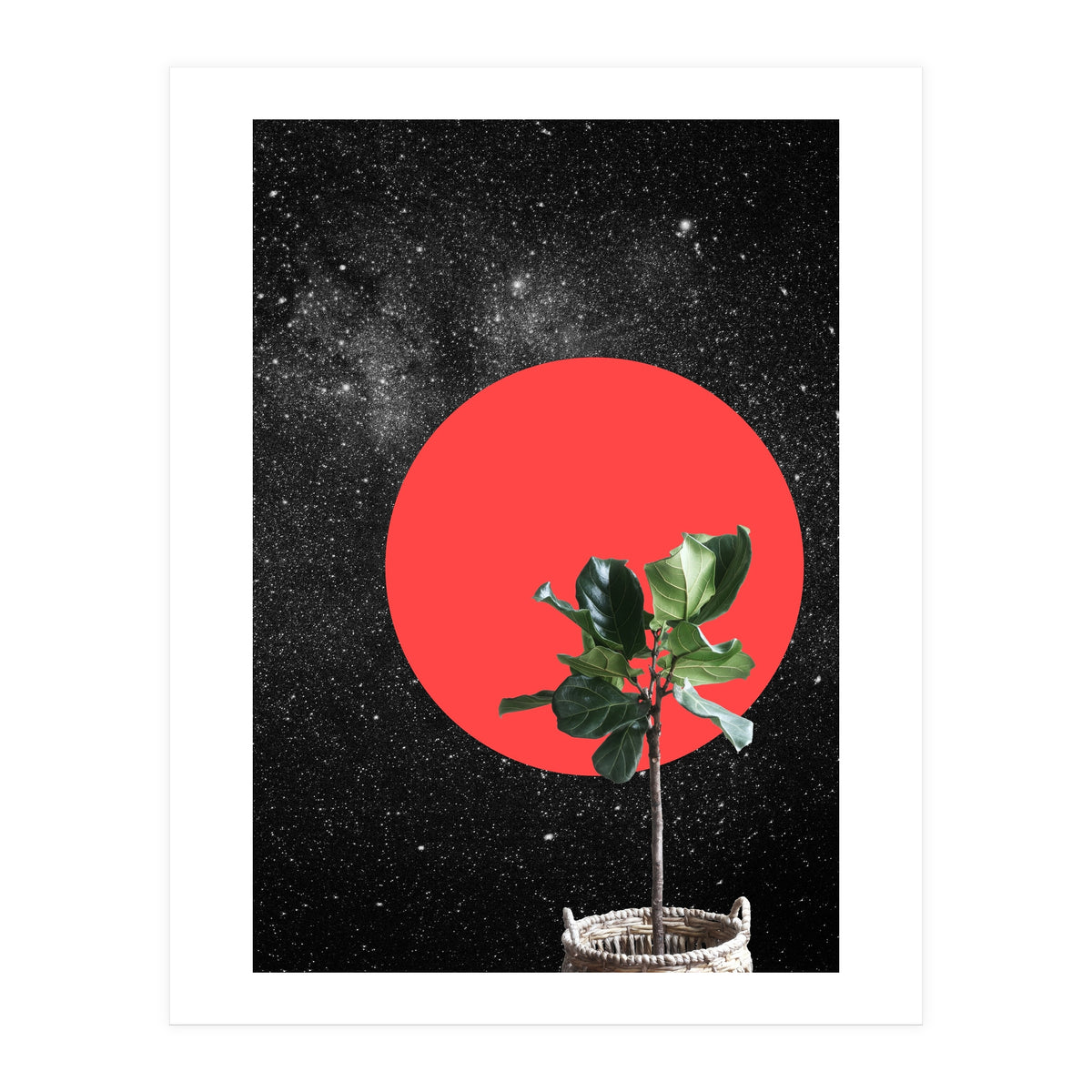 "Bonsai" - Digital Collage (Print Only)