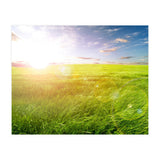 Nature (Print Only) thumbnail
