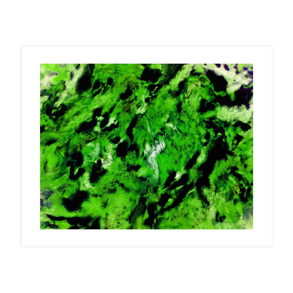 More Distinguishing Marks (Print Only)