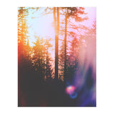 Finding Light (Print Only) thumbnail