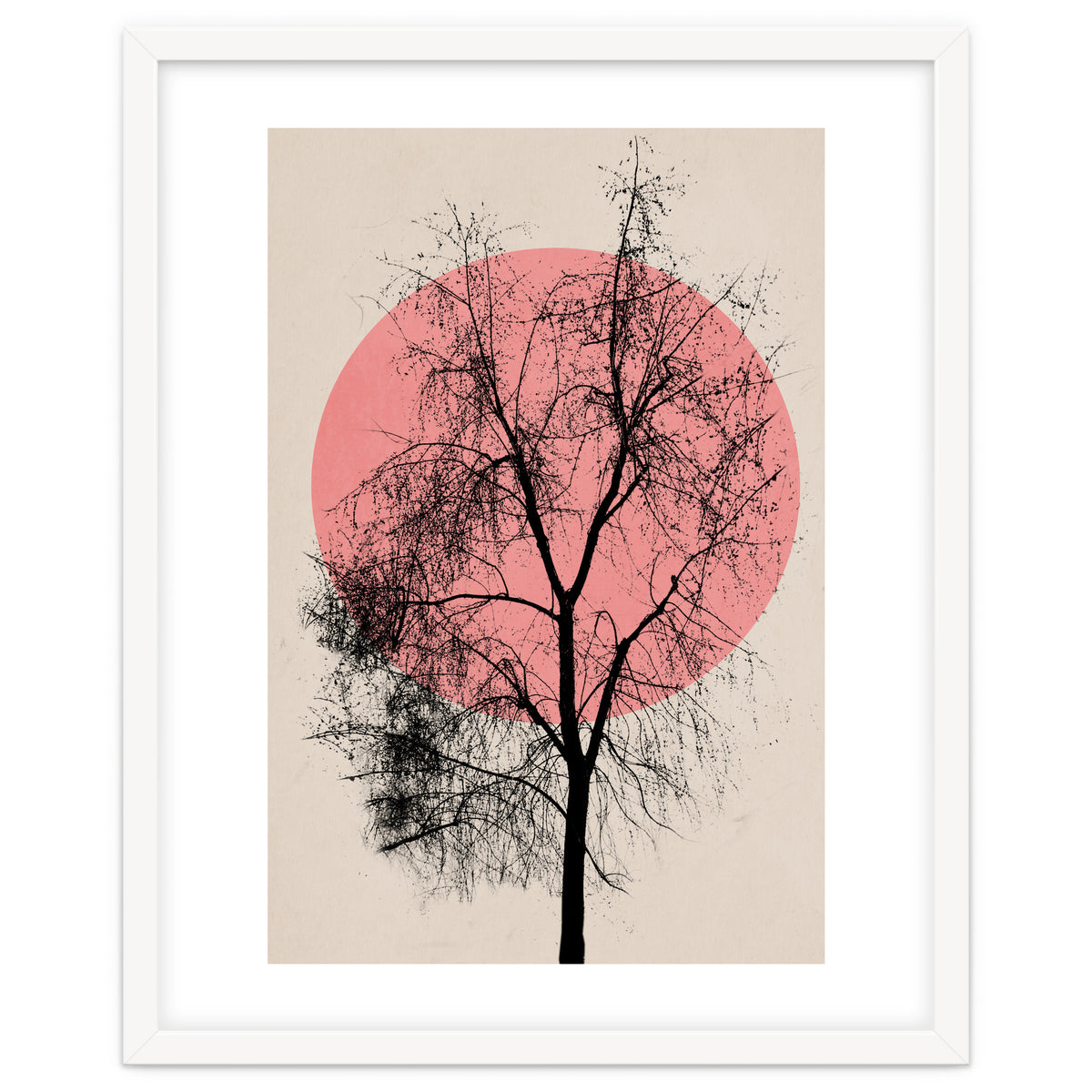 Memories And Moments