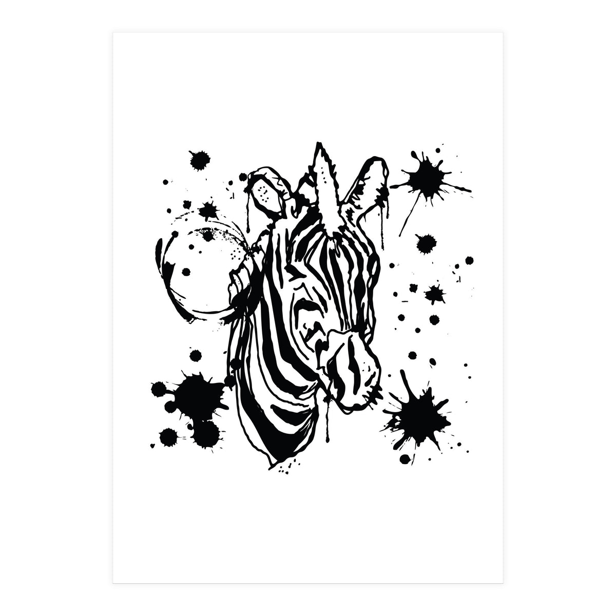 Zebra sketch (Print Only)