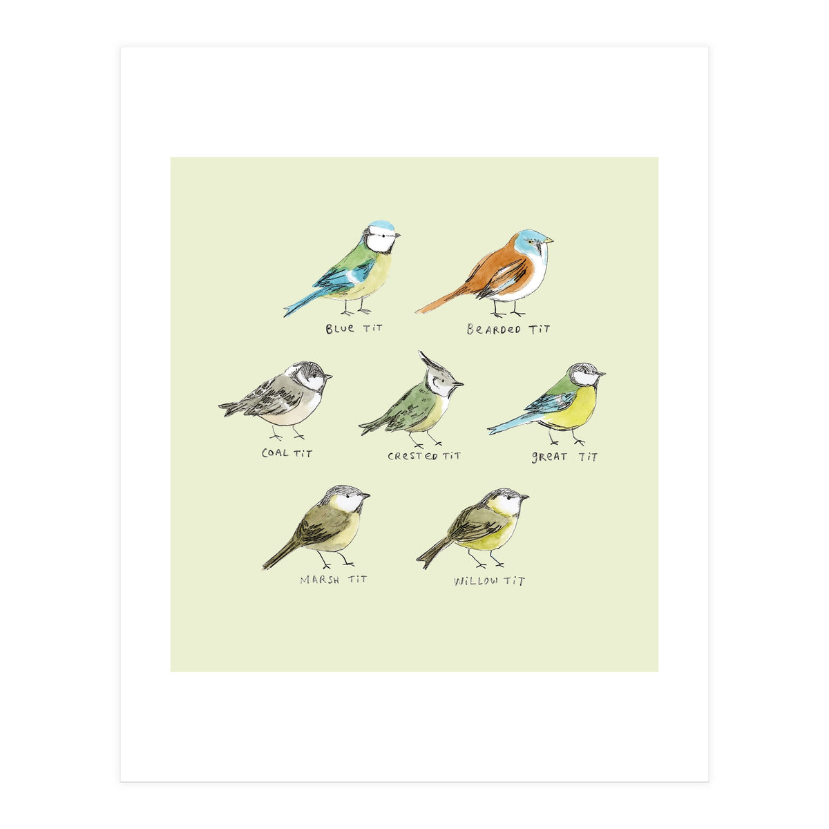 The Tit Family (Print Only)