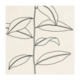 LEAF IN LINE 01 (Print Only) thumbnail