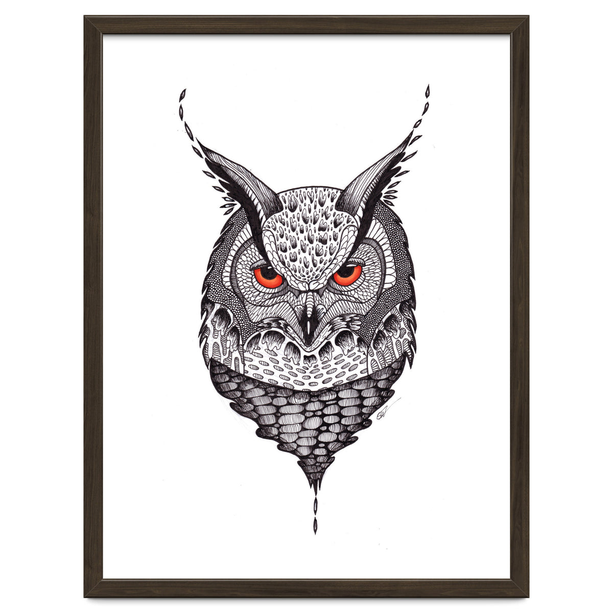 Owl