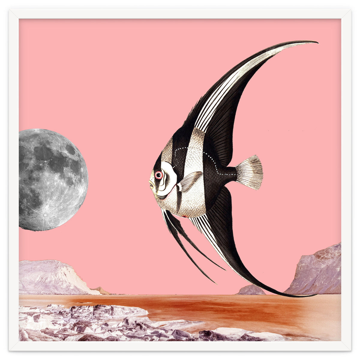 Plenty Of Fish In The Sea Pink