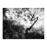 forgetting (Print Only) thumbnail