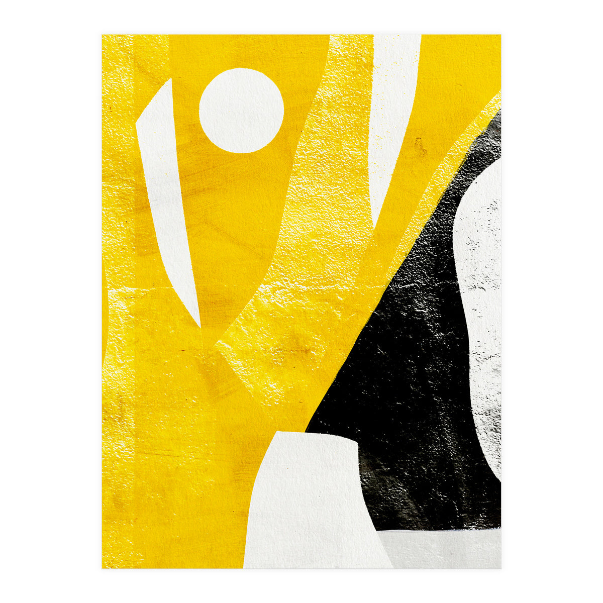 Coiote 2 (Print Only)