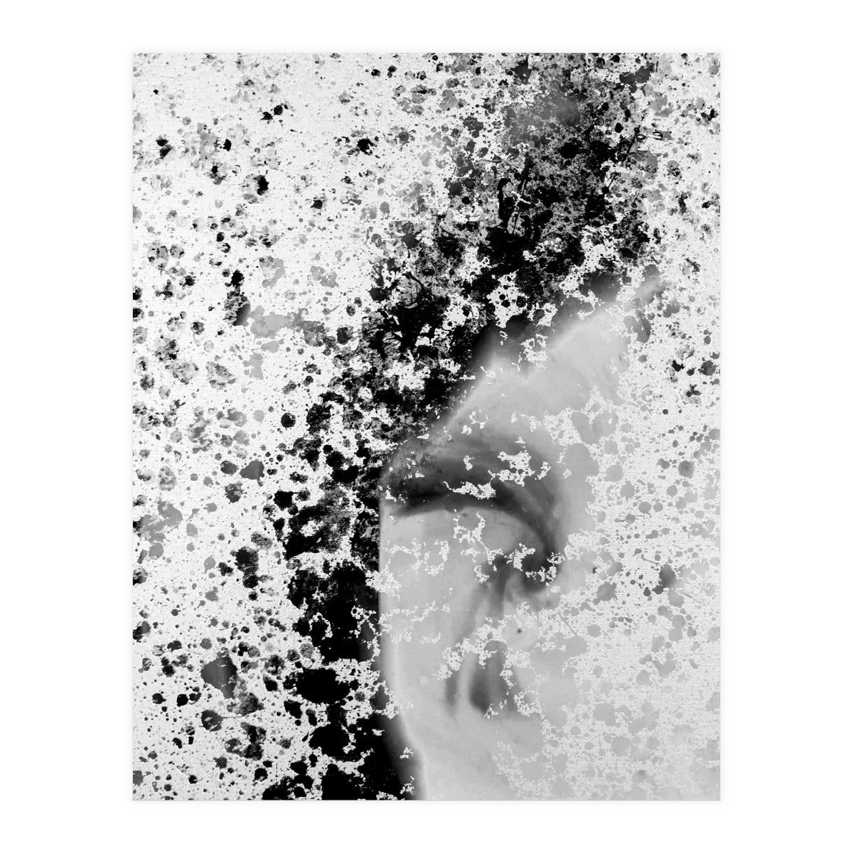 Prisma Black  (Print Only)