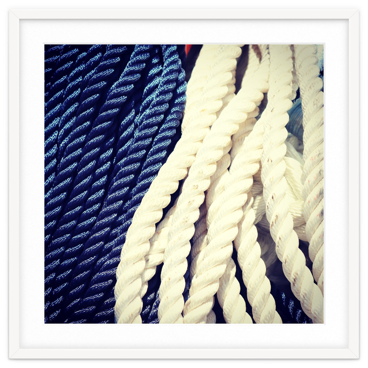 Blue and white fishing rope