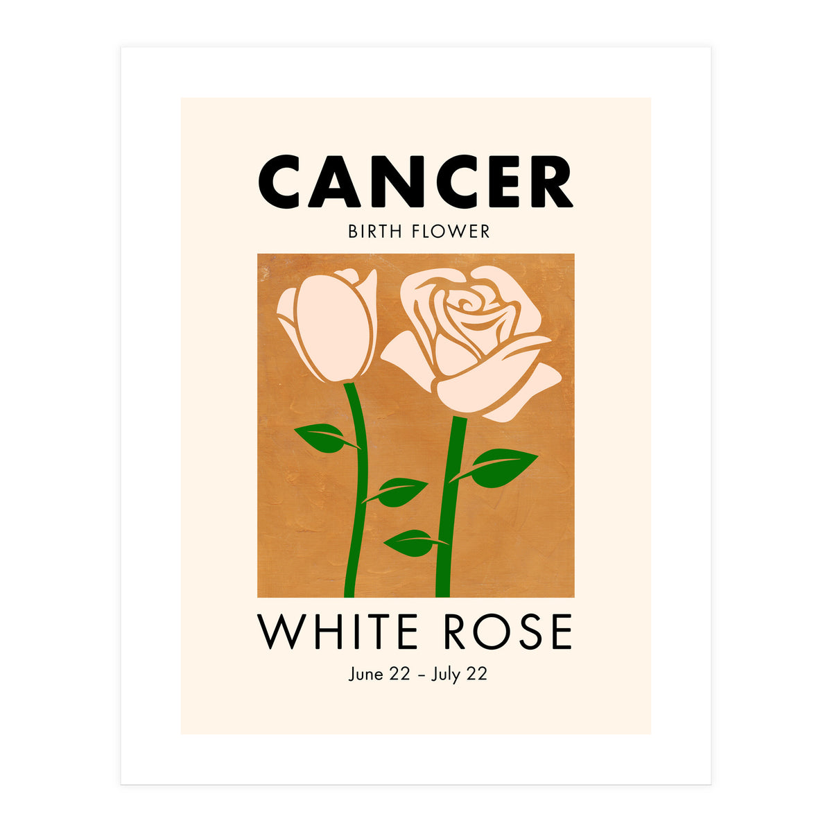 Cancer Birth Flower White Rose (Print Only)