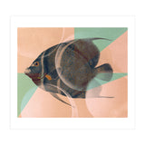 Fish Between Circles 2 (Print Only) thumbnail