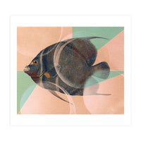 Fish Between Circles 2 (Print Only)