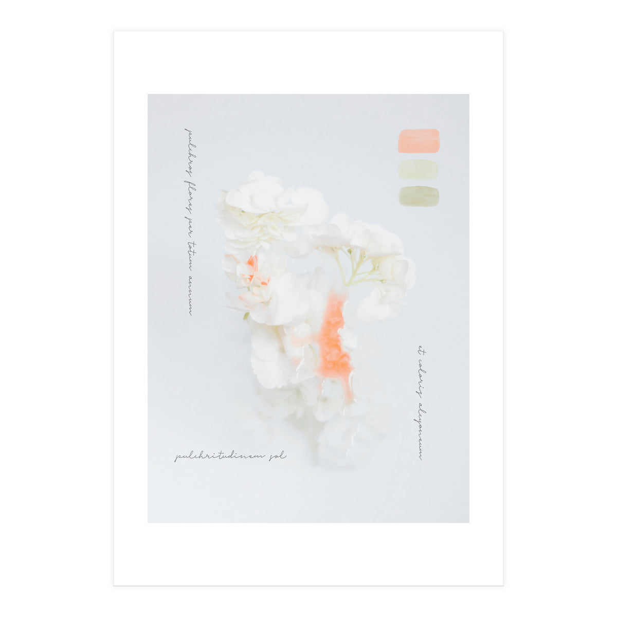 Modern Vintage Botanic (Print Only)