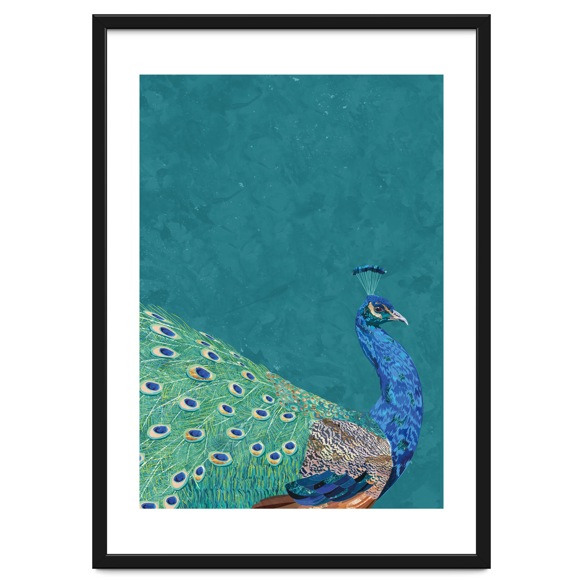 Perfect Peacock Turquoise Portrait