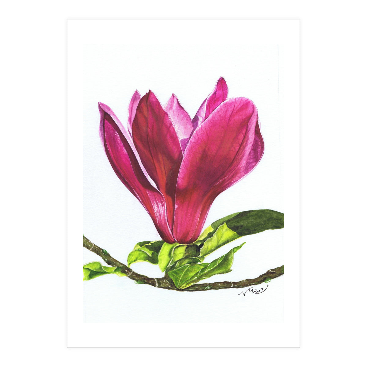 Single Magnolia (Print Only)