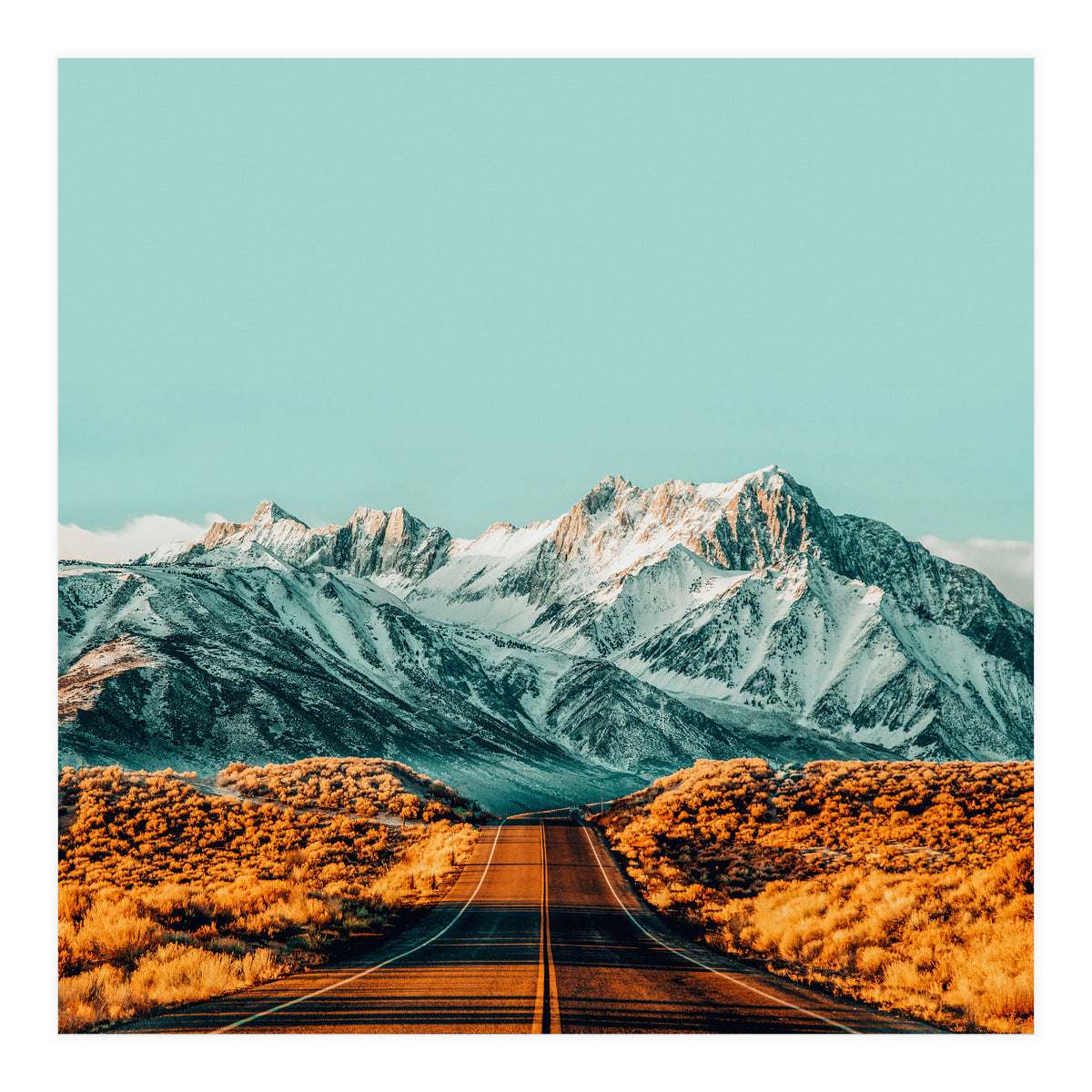 The Road Less Traveled (Print Only)