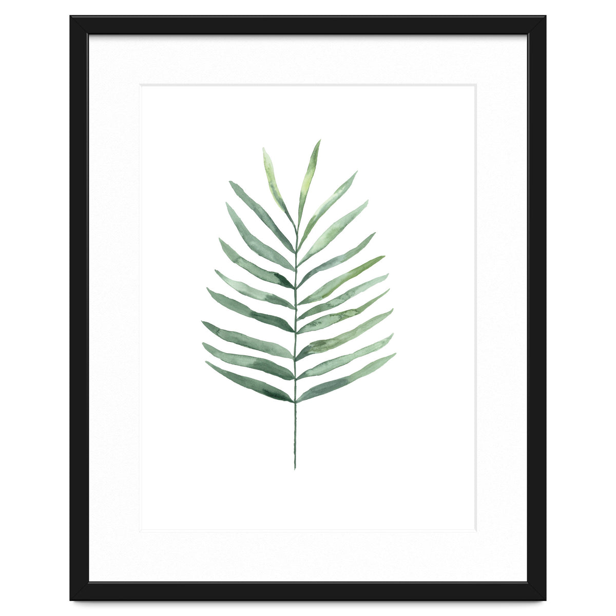 Botanical Illustration Fern