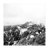 46 (Print Only) thumbnail