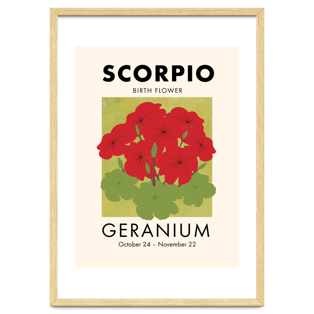 Scorpio Birth Flower Geranium