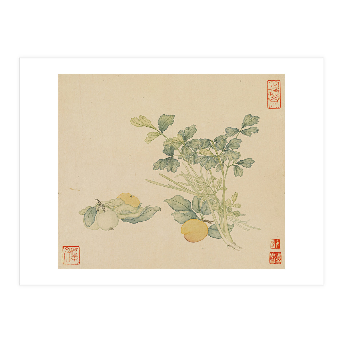 Wang Chengyu~flowers And Vegetables, Vegetables, Fruits, Plums, Apricots, Celery (Print Only)