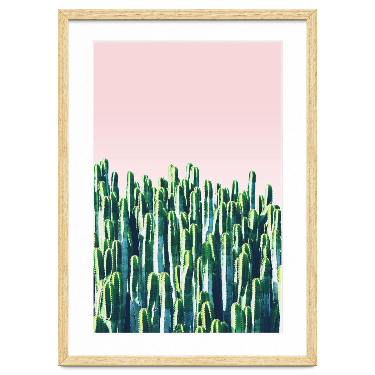 Cactus & Sunset I