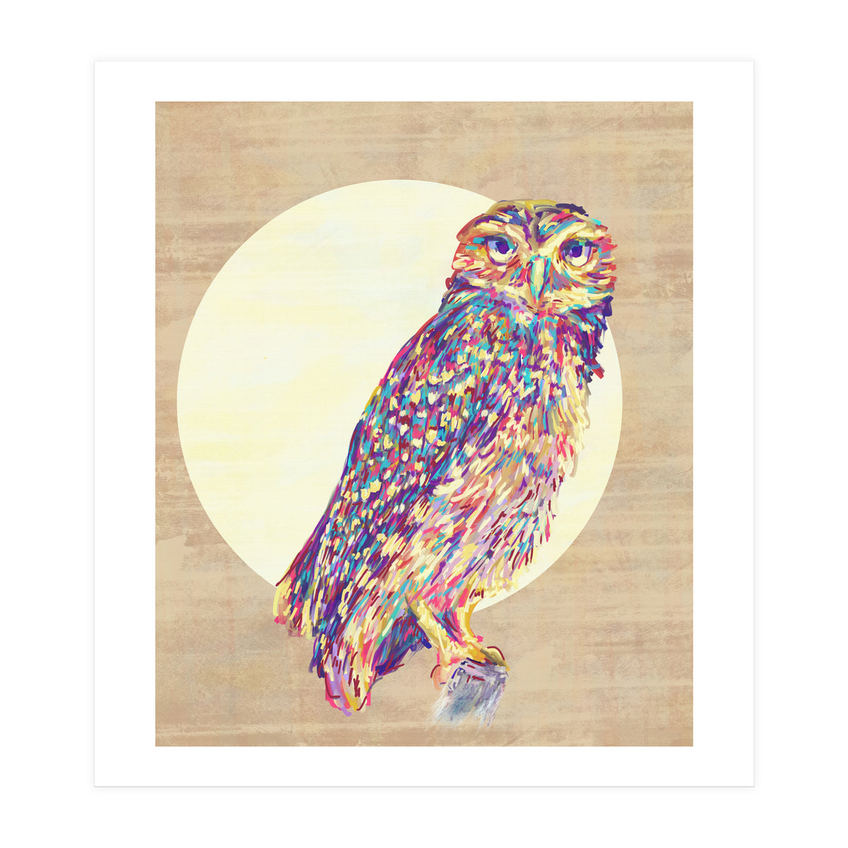 Owl (Print Only)