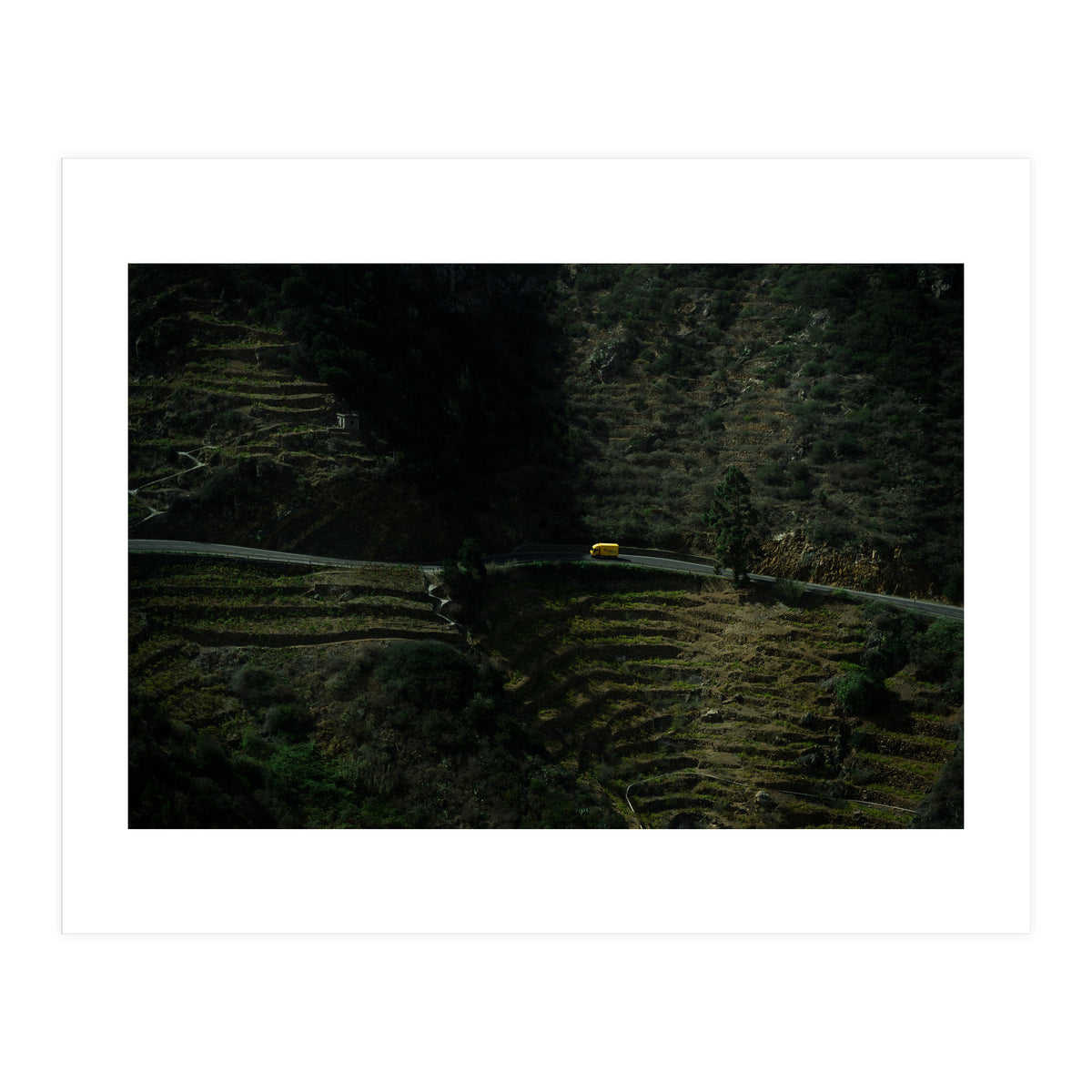 Deliveries (Print Only)