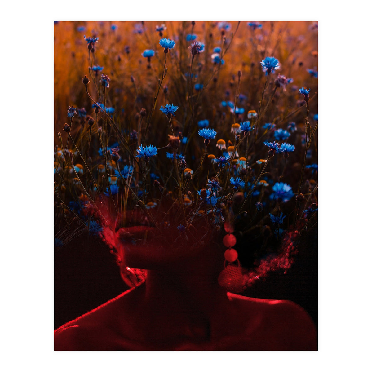 Dream Division 10 (Print Only)