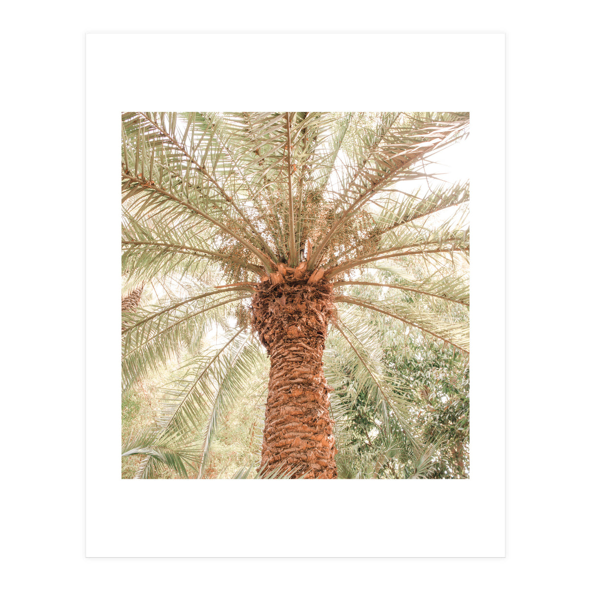 Tropical 2 (Print Only)