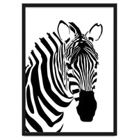 Zebra Stripe - Monochrome