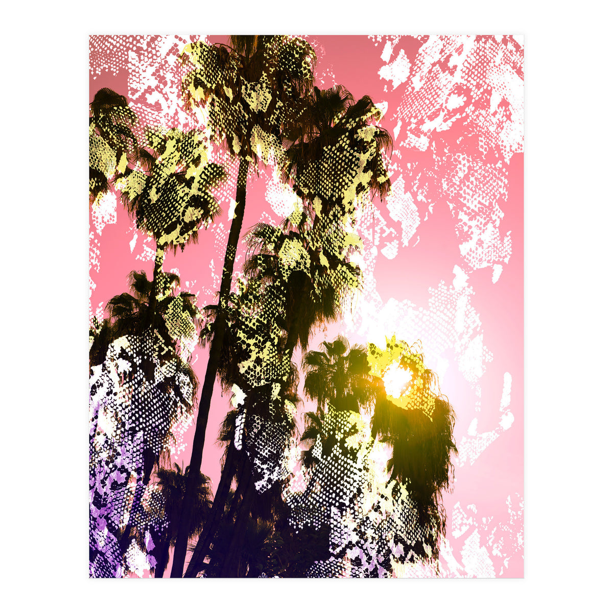 Snake sunset in paradise  (Print Only)