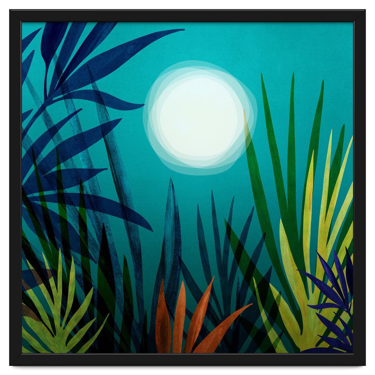 Midnight In The Jungle