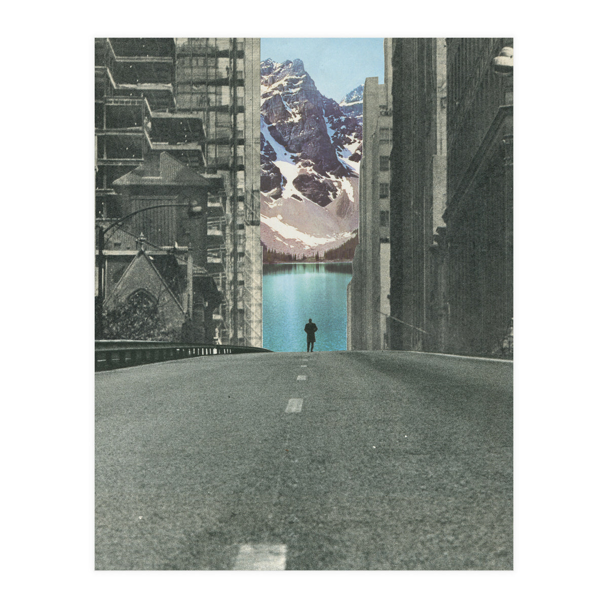 Into The Wild (Print Only)