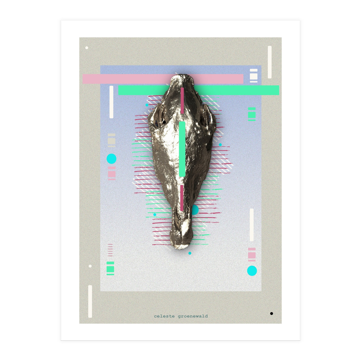 Equus quagga (Print Only)