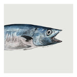Fish pt1 (Print Only) thumbnail