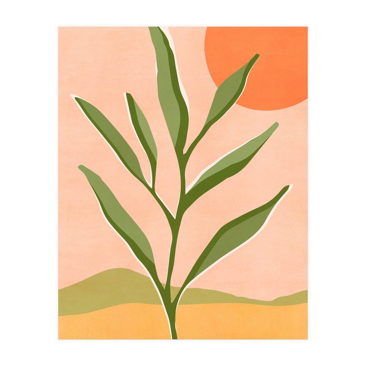 The Sun and The Succulent (Print Only)