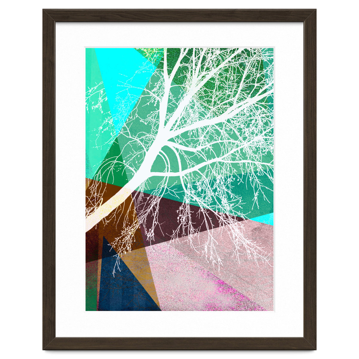 P16-H Trees And Triangles