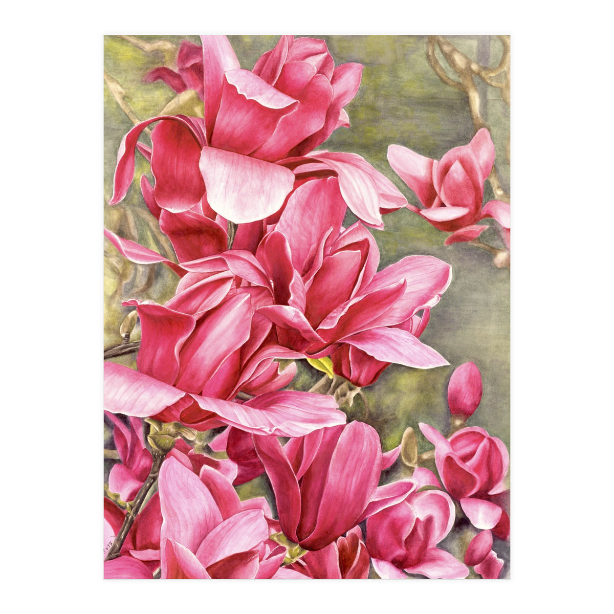 Magnolia 5 (Print Only)