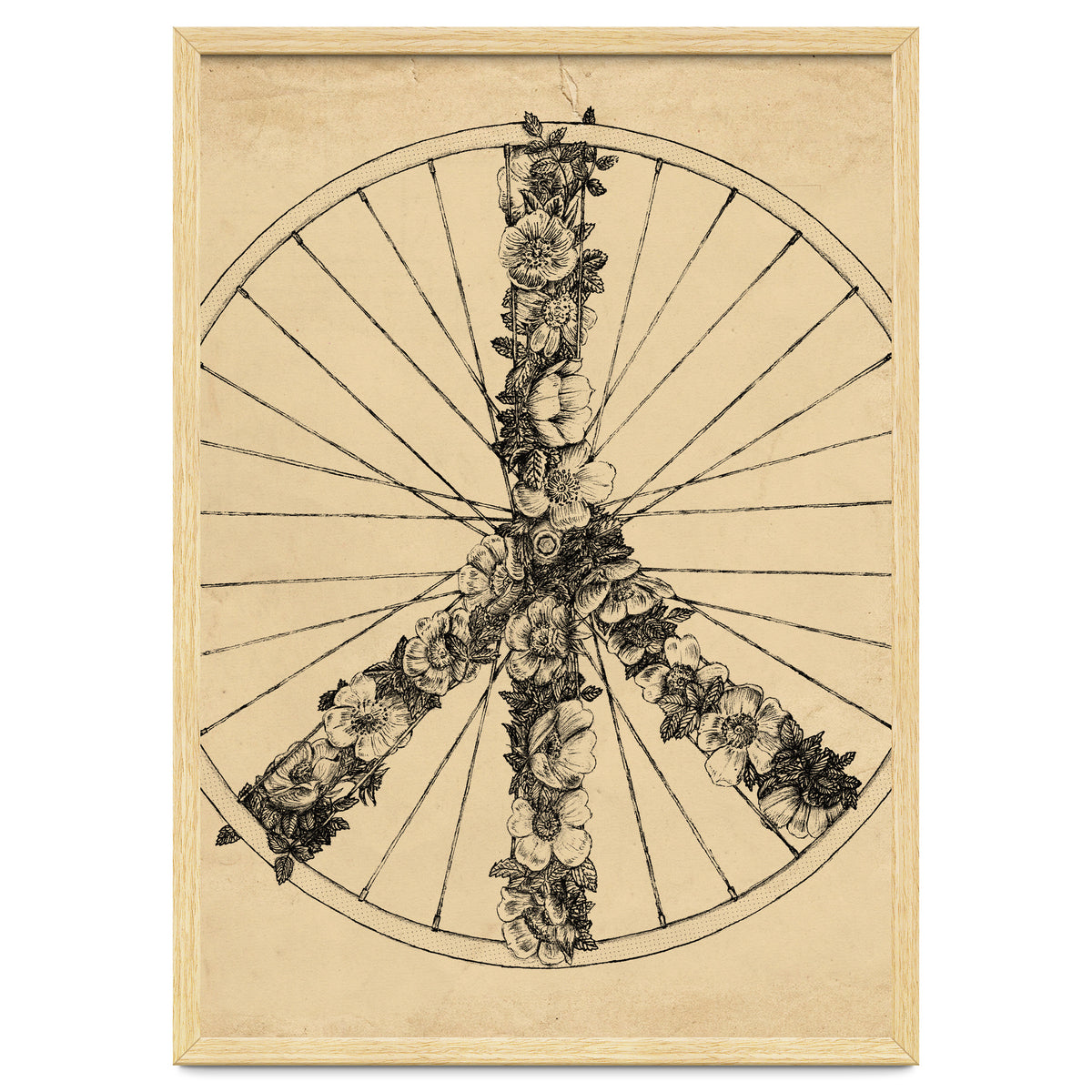 Peace And Bike Lines