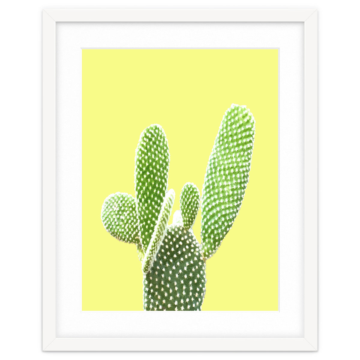 Cactus Yellow Background