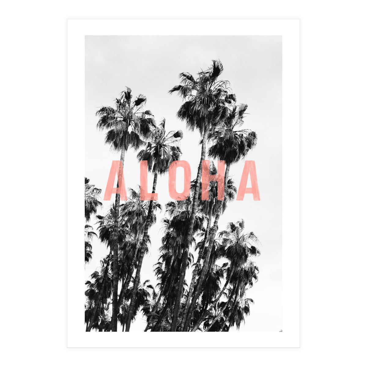 Aloha  (Print Only)