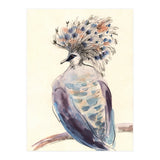 Crowned Pigeon (Print Only) thumbnail
