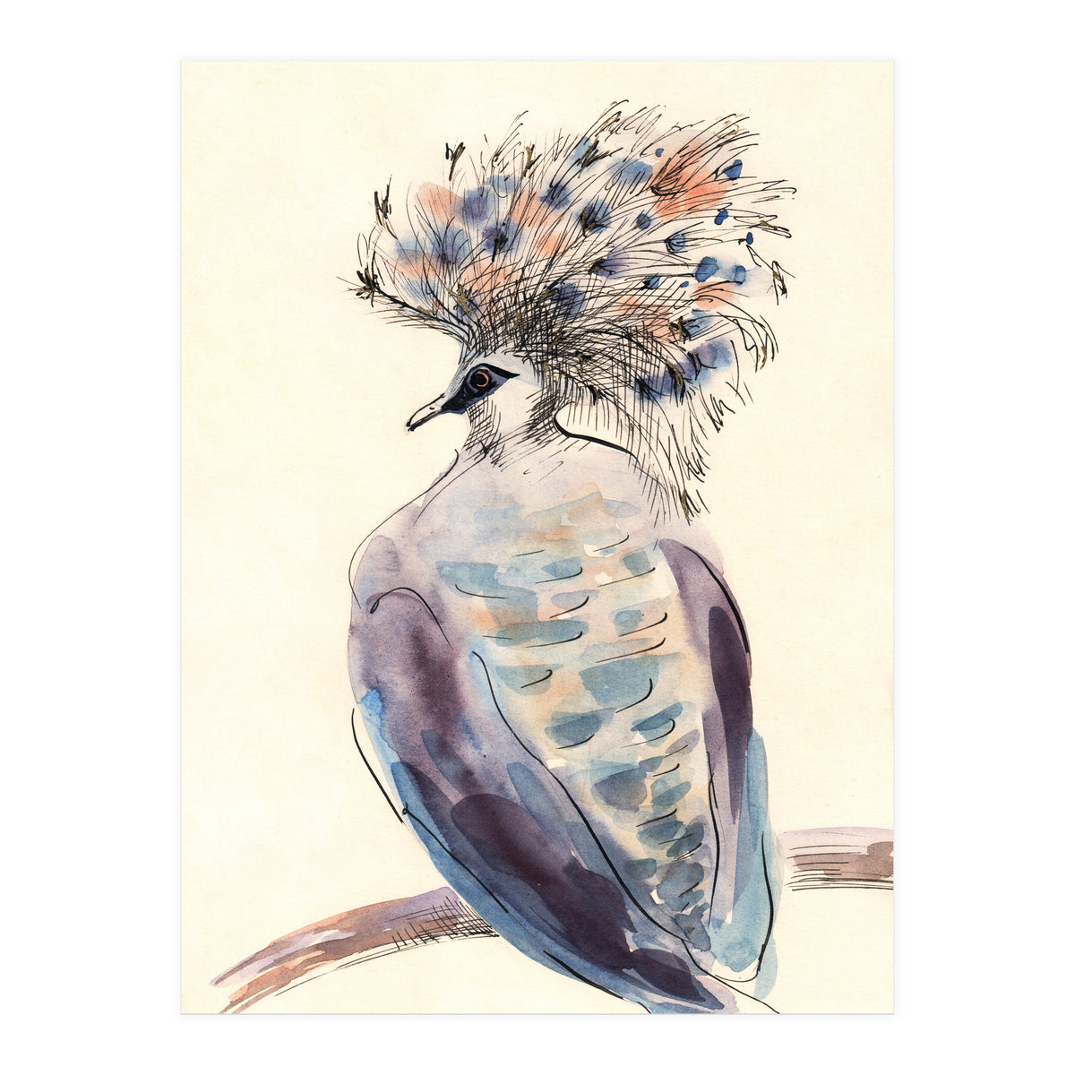Crowned Pigeon (Print Only)