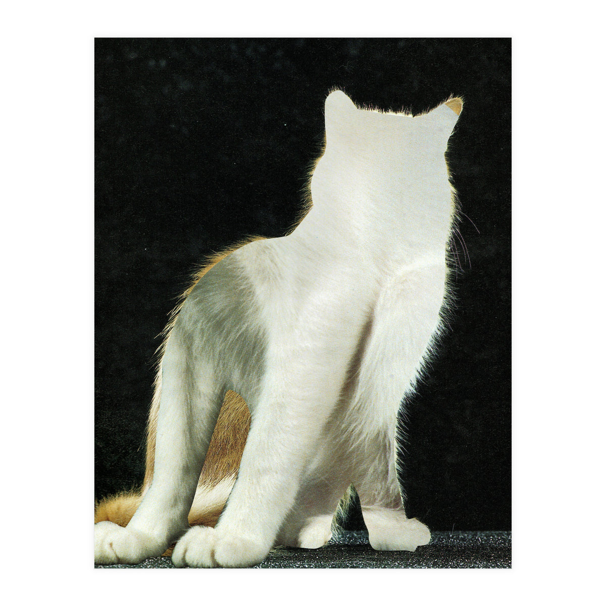 KatzenJammer 11 (Print Only)