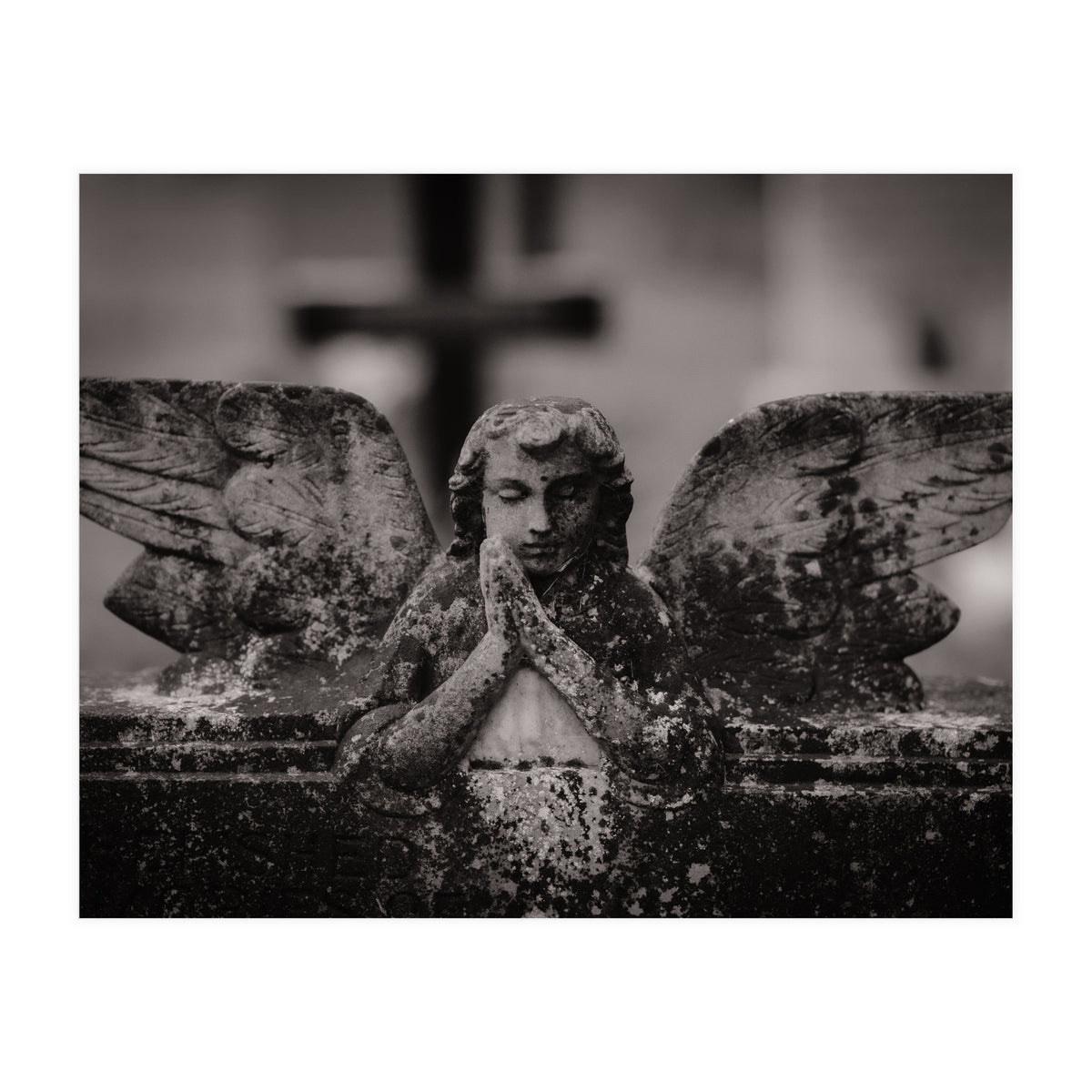 Winged Angel (Print Only)