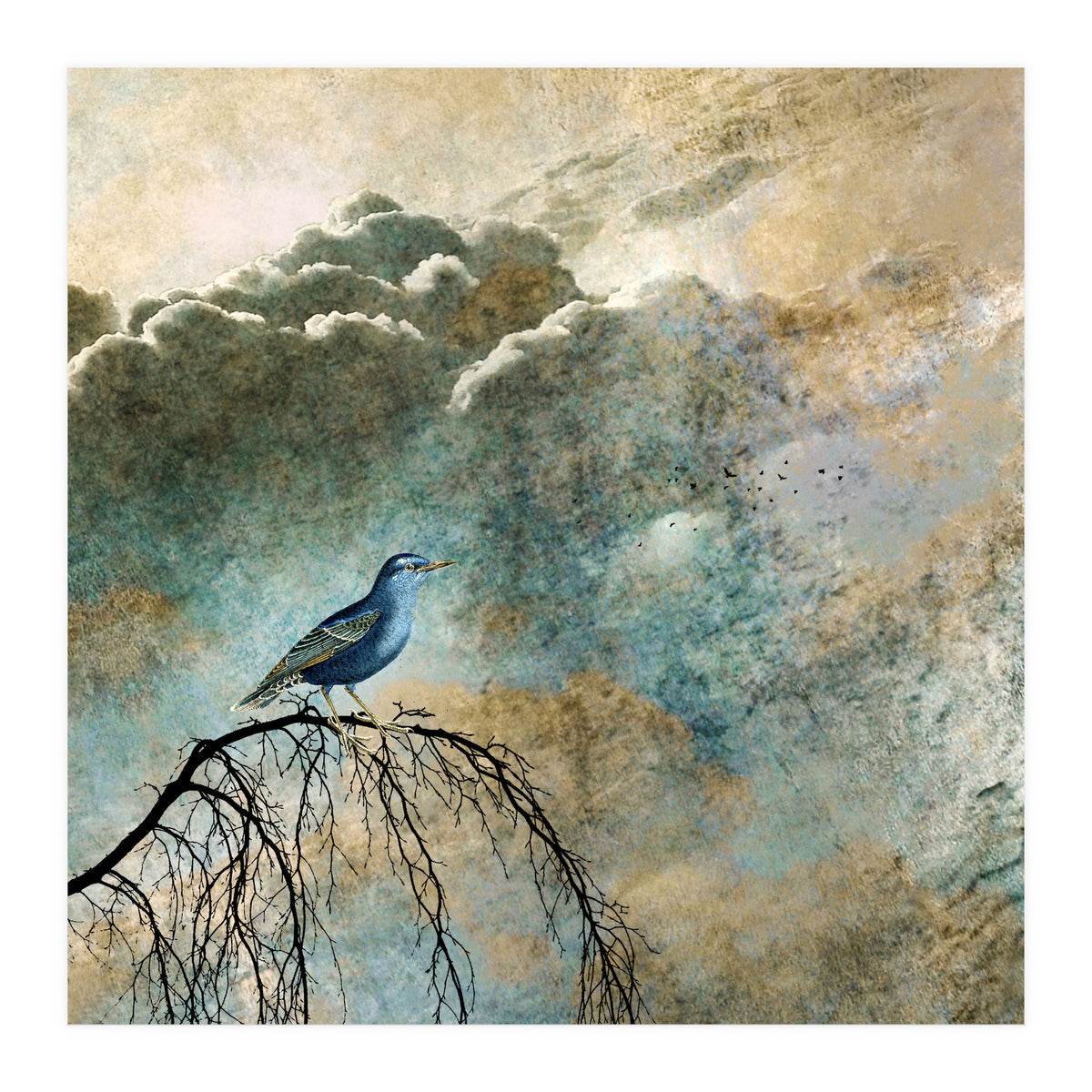 HEAVENLY BIRD IIa (Print Only)
